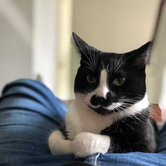 Meet your Posher, Andrea - Picture 1 of 1